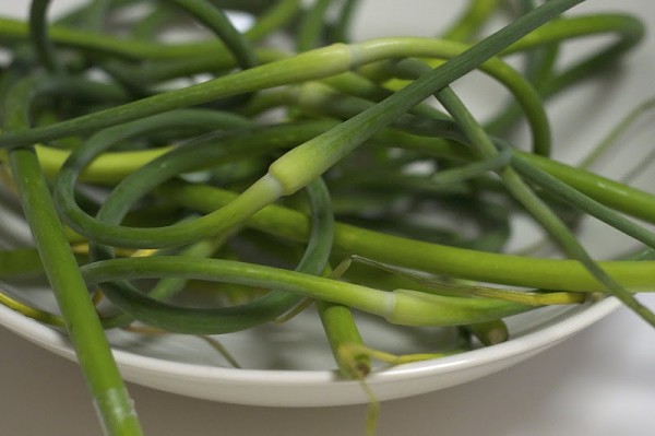 Garlic Scapes garlic scapes