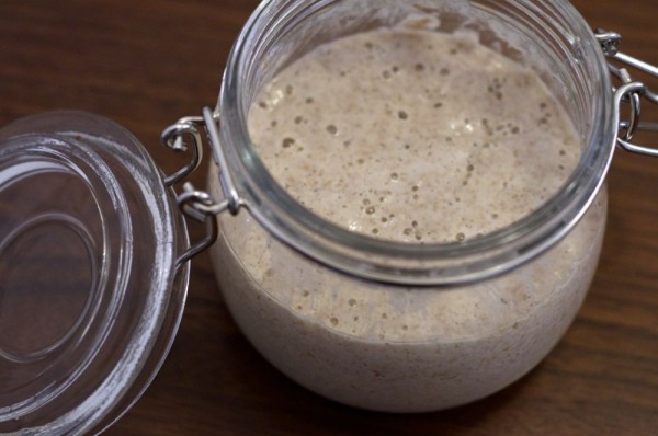 'Cavanagh,' My Sourdough Starter sourdough starter