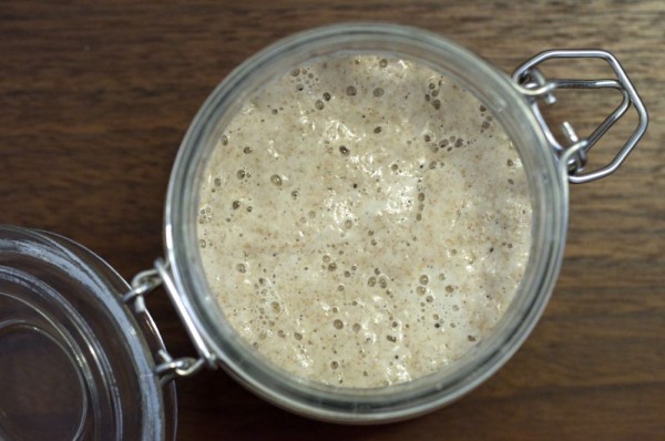 Cavanagh sourdough starter sourdough starter