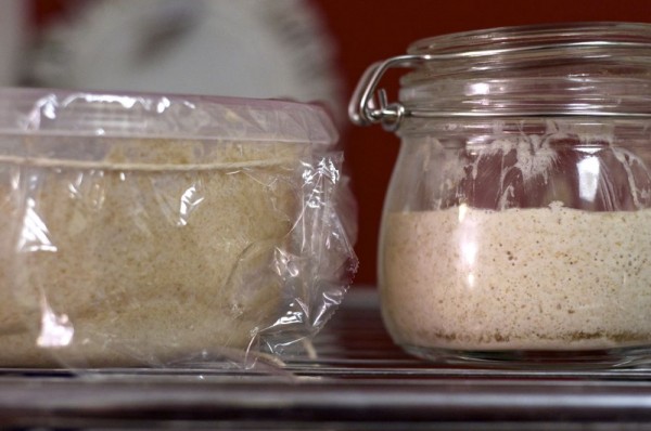 sourdough starters sourdough starters